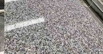 眉山 芙蓉白光面