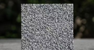 眉山 芝麻黑荔枝面