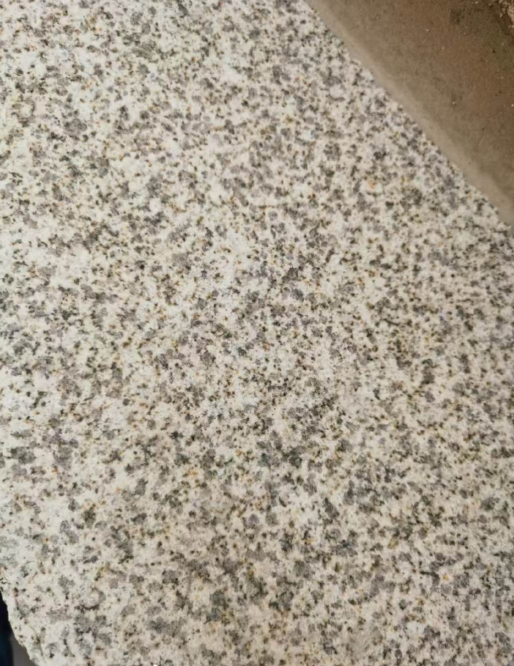 眉山 黄金麻中黄光面