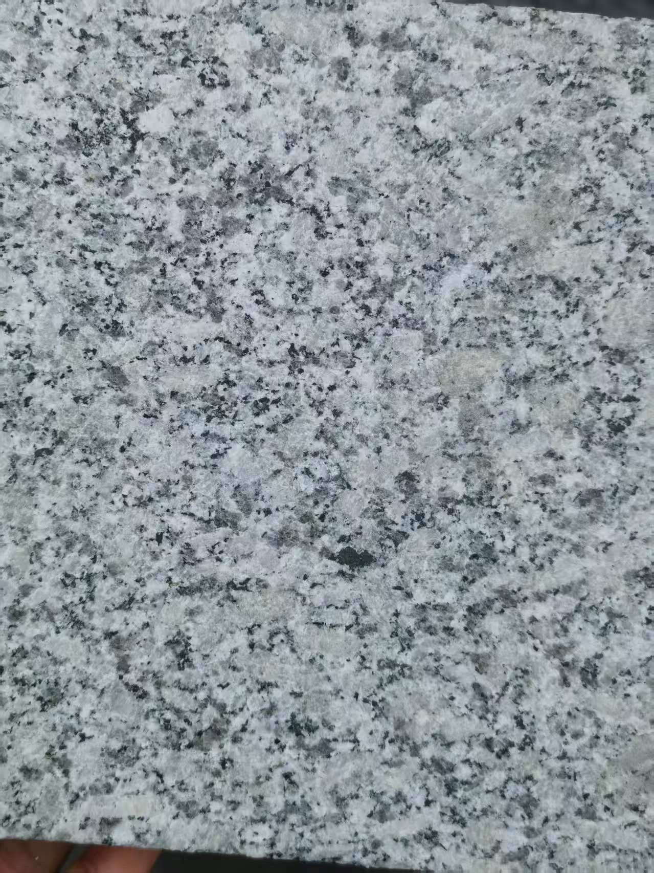 眉山 芙蓉白火烧面