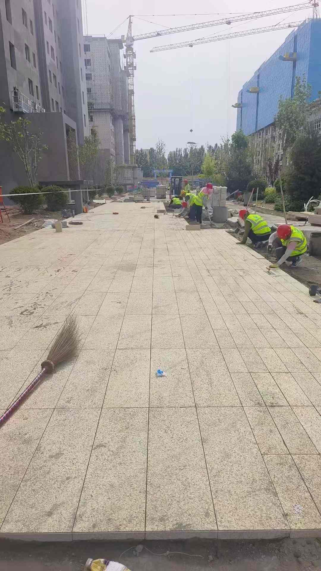 眉山黄金麻荔枝面地铺案例